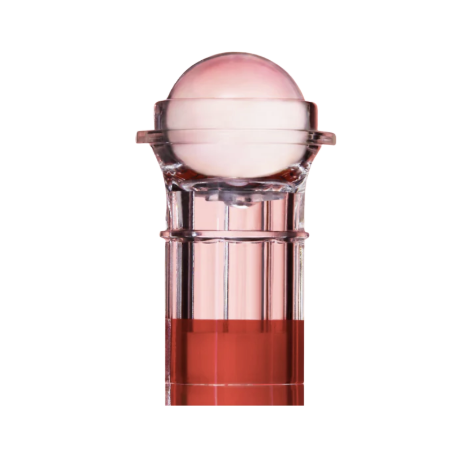 Lightinderm programme Lift